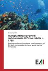 Transplanting e prove di reclutamento di Pinna nobilis L., 1758