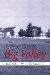 The Little Farm in the Big Valley