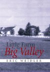 The Little Farm in the Big Valley