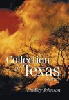 Collection of Texas Stories