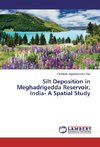 Silt Deposition in Meghadrigedda Reservoir, India- A Spatial Study