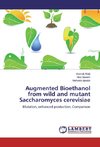 Augmented Bioethanol from wild and mutant Saccharomyces cerevisiae