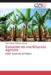 Valuación de una Empresa Agricola