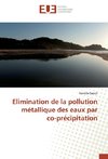 Elimination de la pollution métallique des eaux par co-précipitation