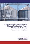 Comparative Evaluation of Biogas Production from Various Substrates