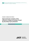 High-resolution analysis of the initiation of deep convection forced by boundary-layer processes