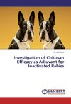 Investigation of Chitosan Efficacy as Adjuvant for Inactivated Rabies