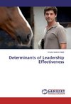 Determinants of Leadership Effectiveness