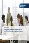 Project communication in multicultural environments