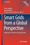 Smart Grids from a Global Perspective