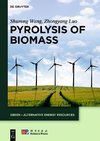 Pyrolysis of Biomass