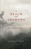 A Realm of Shadows (Kings and Sorcerers--Book 5)