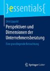 Perspektiven und Dimensionen der Unternehmensberatung