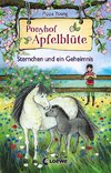 Ponyhof Apfelblüte - Sternchen und ein Geheimnis