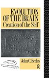 Evolution of the Brain