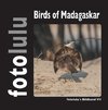 Birds of Madagaskar