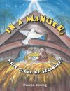 In a Manger, What Could Be Stranger?