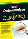 Excel Datenanalyse für Dummies