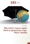 Pôle métier risques région PACA et géoportails Crige-PACA / RiskNat