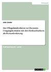 Der Pflegekinderdienst in Chemnitz. Umgangskontakte mit den Herkunftseltern als Herausforderung