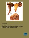 Die Krankheiten und tierischen Feinde der Zuckerrübe