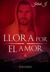 Llora por el amor 6