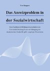 Das Anreizproblem in der Sozialwirtschaft