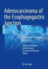 Adenocarcinoma of the Esophagogastric Junction