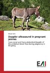 Doppler ultrasound in pregnant jennies