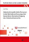 Arbeitnehmerähnliche Personen in der Betriebsverfassung unter besonderer Berücksichtigung des Arbeitsschutzrechts