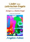 Lieder eines sattvischen Engels - Songs from a Satvic Angel