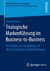 Trialogische Markenführung im Business-to-Business