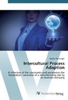 Intercultural Process Adaption