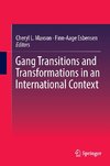 Gang Transitions and Transformations in an International Context