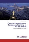 Cultural Perceptions of Foreigners Working in Rio de Janeiro