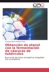 Obtención de etanol con la fermentación de cáscaras de tubérculos