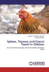 Spleen, Thymus and Caecal Tonsil in Chicken