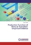 Production Function of Firms in Transition: Empirical Evidence