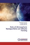 Role of Atmospheric Nanoparticles on Climate Forcing