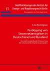 Festlegung von Stromnetzentgelten in Deutschland und Russland