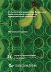 Phytochemical analysis of Baby Banana peels (Musa acuminata) in relation with a  hyperpigmentation phenomenon