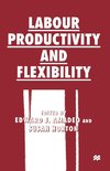 Labour Productivity and Flexibility