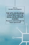 The WTO, Developing Countries and the Doha Development Agenda