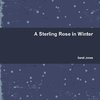 A Sterling Rose in Winter