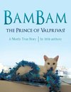 BamBam, the Prince of Valprivas!