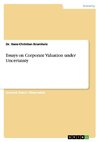 Essays on Corporate Valuation under Uncertainty