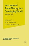 International Trade Theory in a Developing World