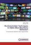 Multiresolution Techniques in Video Shot Boundary Detection