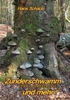 Zunderschwamm und mehr