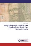 Mitigating High Capital Risk Exposure to Small Cap Sector in India